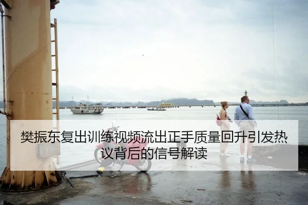 樊振东复出训练视频流出正手质量回升引发热议背后的信号解读 | Kaiyun